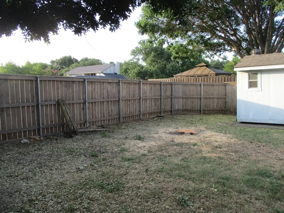 Cleared yard after professional tree removal in Alto